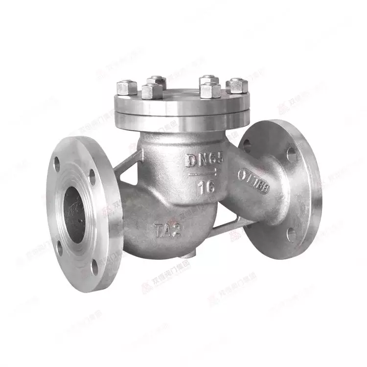 国标钛升降式止回阀